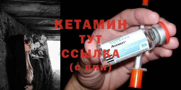 стаф Верея