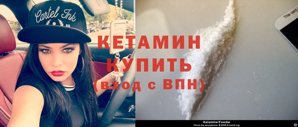 стаф Верея