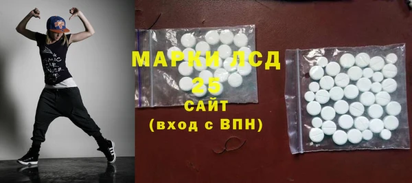 прущие грибы Балахна