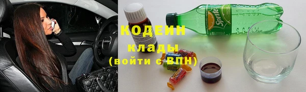 стаф Верея
