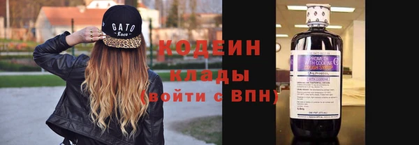 стаф Верея