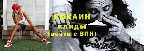 стаф Верея