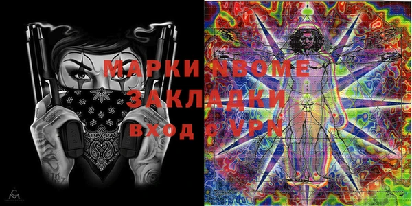 стаф Верея
