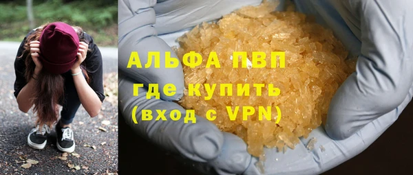 стаф Верея