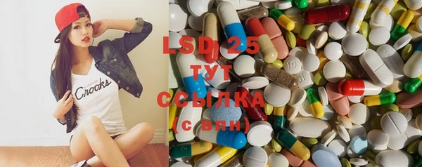 стаф Верея