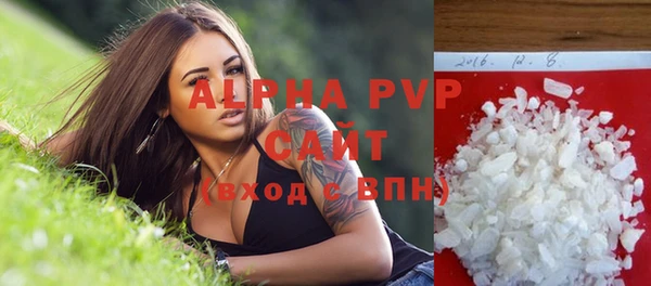 стаф Верея