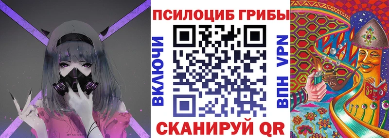 наркошоп  Углегорск  ОМГ ОМГ   Галлюциногенные грибы Psilocybe 